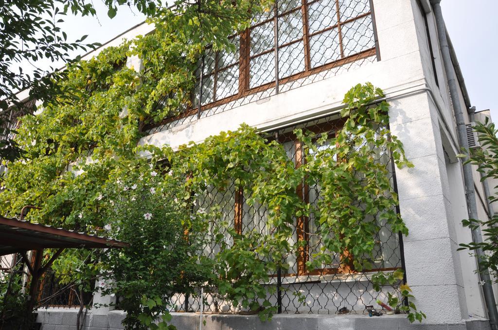 Villa Ivana Odesa Exterior foto
